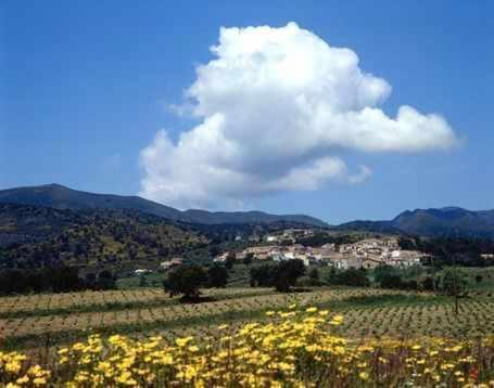 Casa Rural Alquiler Integro Cal Sisco Vilamaniscle 외부 사진